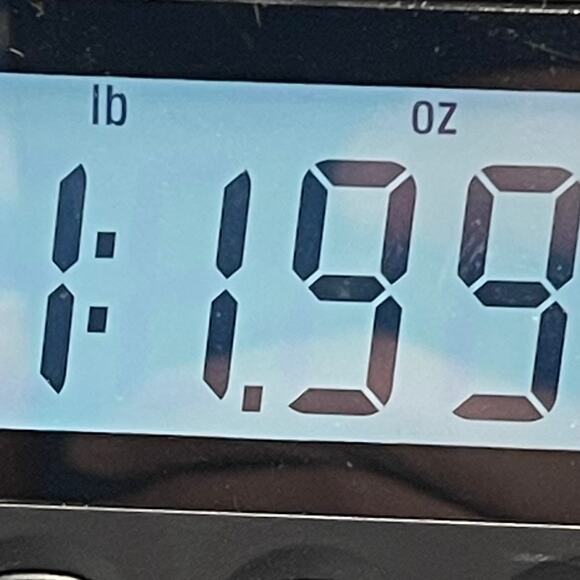 POLO by Ralph Lauren Men's Shirt Classic Fit Size Large - Picture 9 of 10